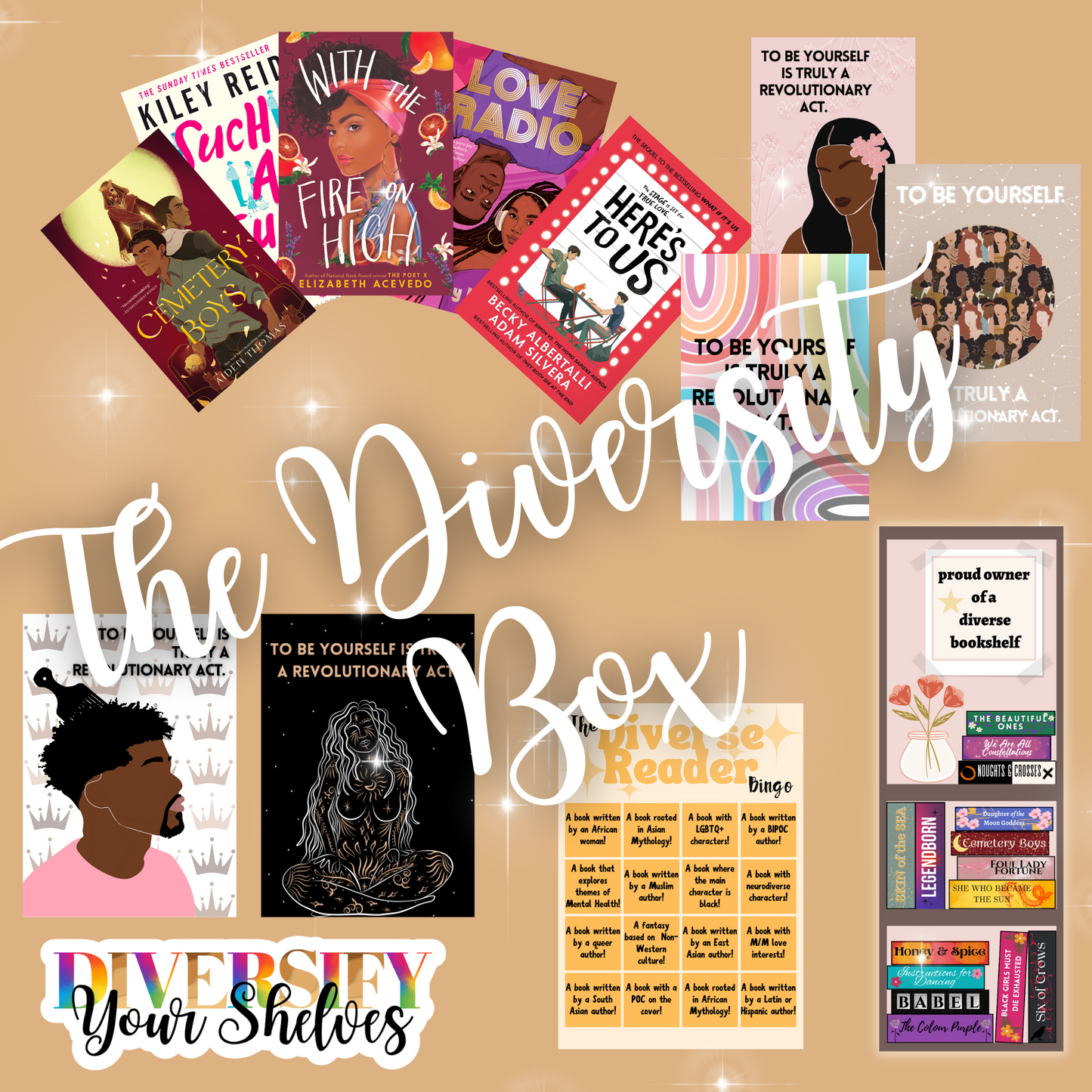 The Diverse Reader's Box
